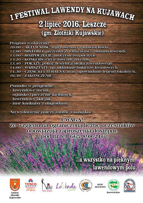 Jedź na pole lawendy! Zasmakuj prawdziwej przygody i odpocznij 