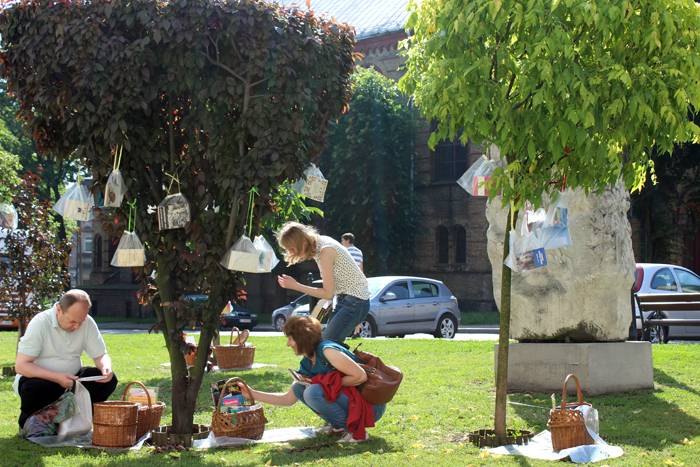 Książkowe drzewa w Inowrocławiu