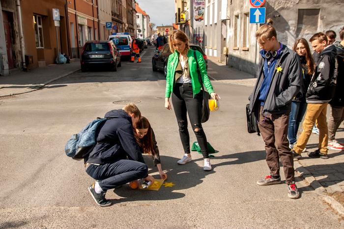 Żonkile na ulicach Inowrocławia