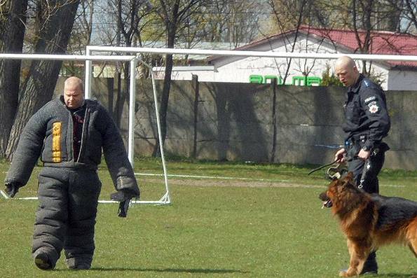 Na wystawie zaprezentowały się policyjne psy   