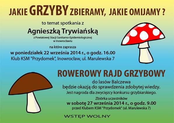 Jakie grzyby zbieramy, jakie omijamy?