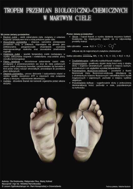Sukces młodego chemika z Konopy