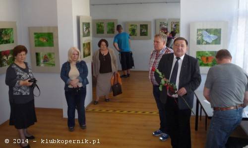 Mini Galeria Motylami zapełniona