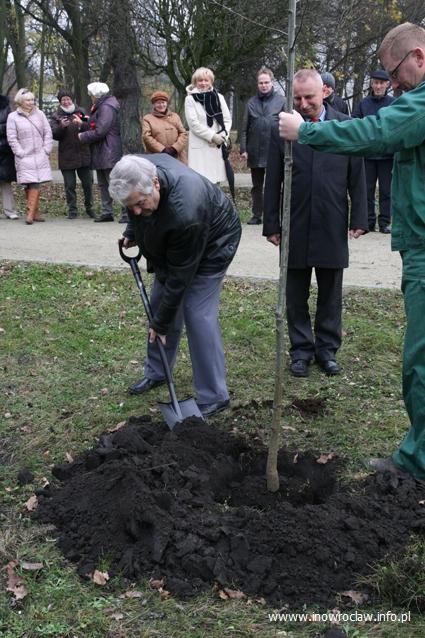 Konstanty Andrzej Kulka zasadził drzewo 