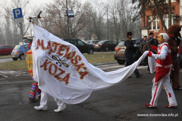Kozy obwieszczają koniec karnawału (TV)