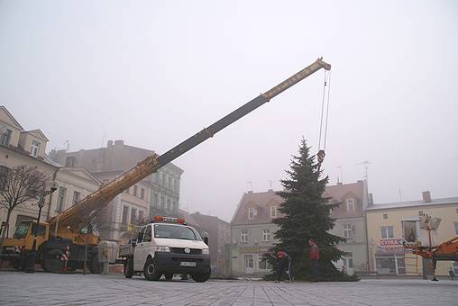 Choinka już stoi na Rynku