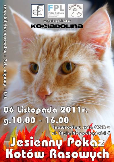 Jesienny Pokaz Kotów Rasowych