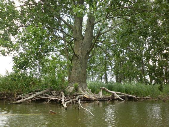 Wiosenny spływ fotografów