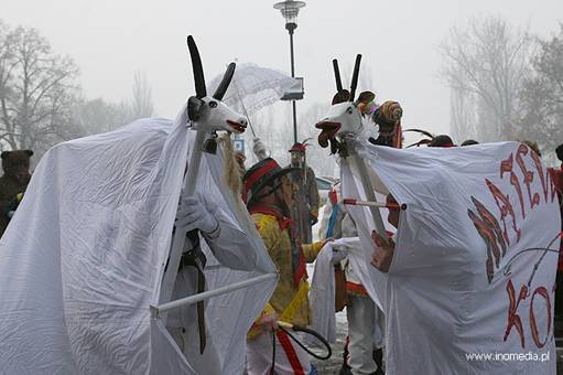 8 marca Koza pożegna karnawał