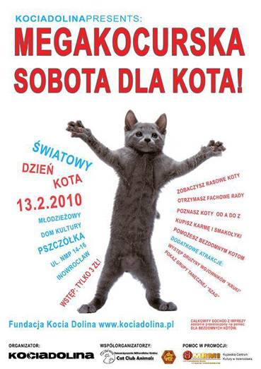 Światowy Dzień Kota w Inowrocławiu