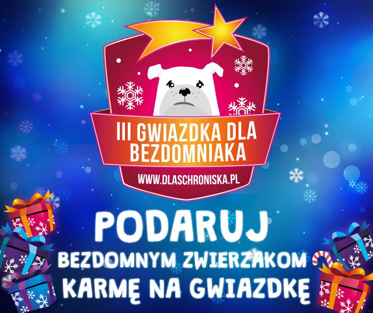 Bezdomne zwierzaki z Inowrocławia też chcą zasmakować Świąt