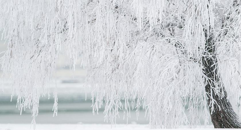 W nocy może spadnie śnieg