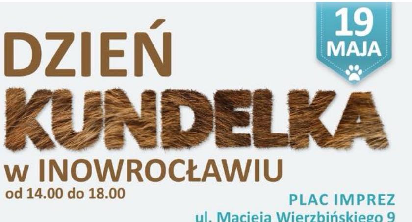 Dzień kundelka w Inowrocławiu