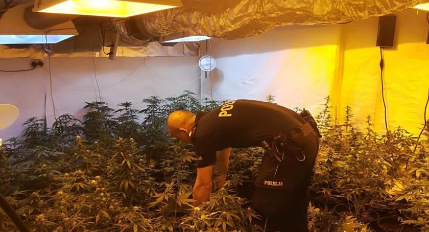 Areszty dla plantatorów