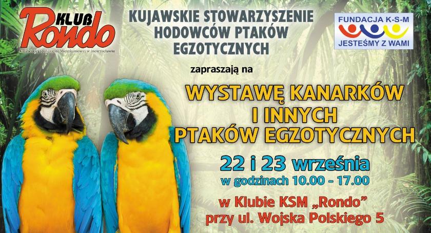 Ptaki egzotyczne w roli głównej