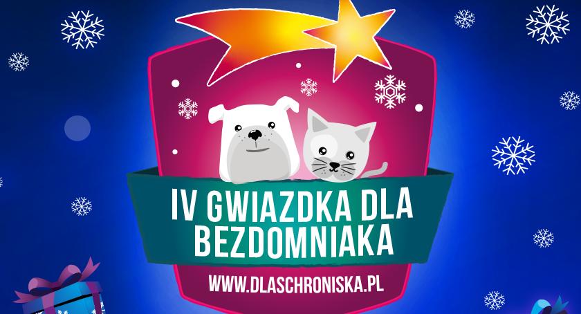 Pomóż zebrać jeszcze więcej karmy dla bezdomniaków z Inowrocławia