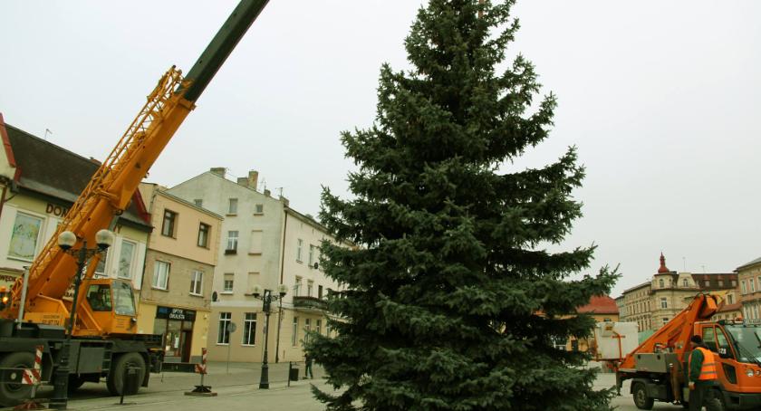 Choinka już stoi na Rynku