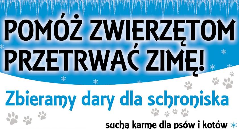 Rozpoczynamy VI zbiórkę dla zwierząt