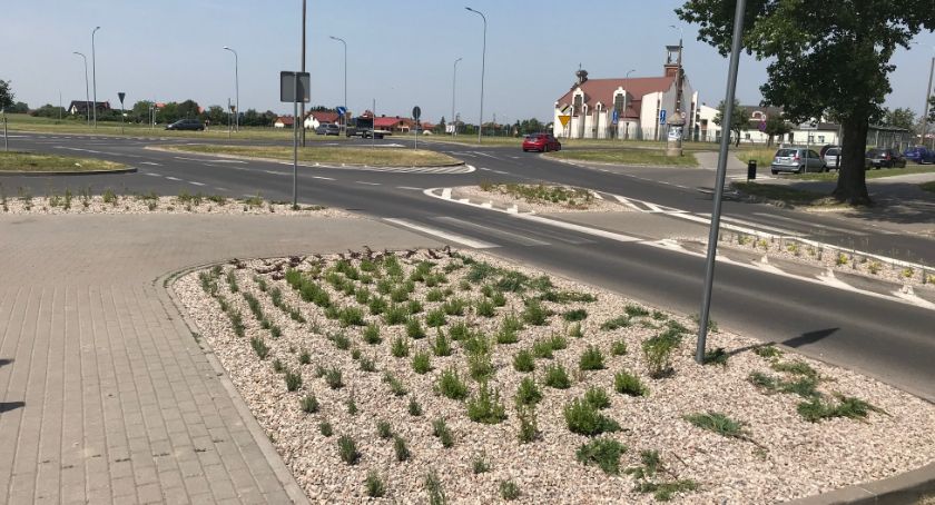 Tereny zielone w nowej odsłonie