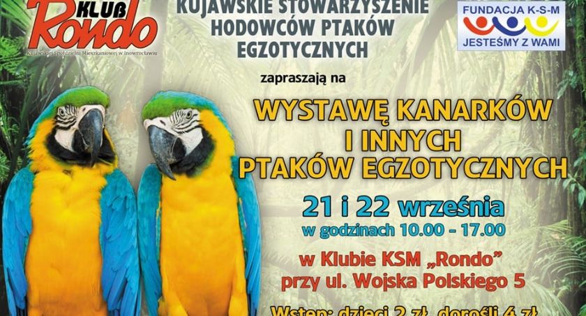 Zapraszamy na wystawę ptaków