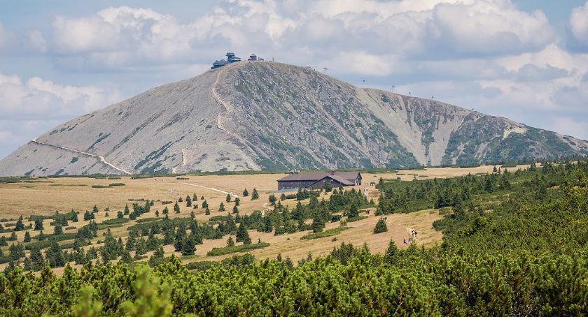 Przyroda Karkonoszy - ciekawostki z życia gór