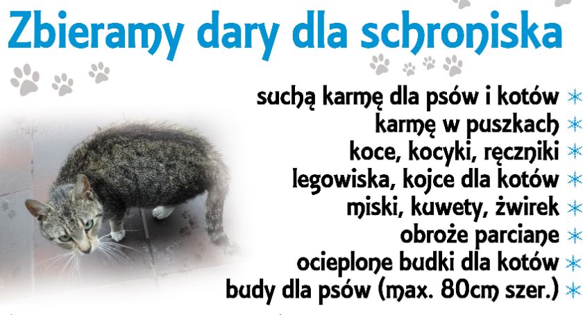 Rozpoczyna się VII zbiórka dla zwierzaków 