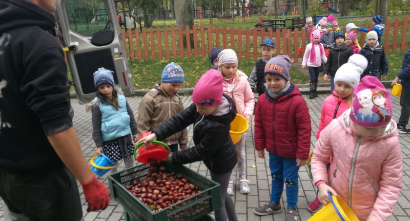 Zbierali kasztany dla bezdomnych kotów