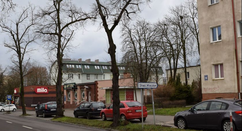 Kolejne drzewa idą pod topór