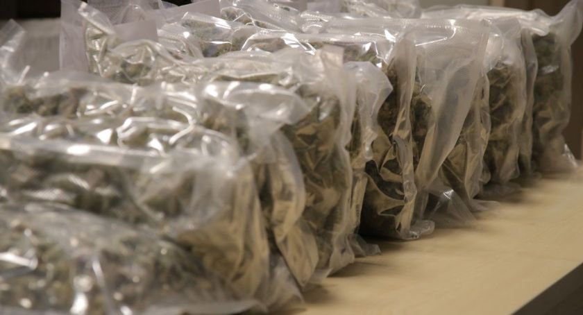 Policjanci z Inowrocławia przechwycili ponad 6 kg marihuany
