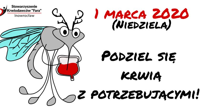 Komary już czekają na Twoją krew!