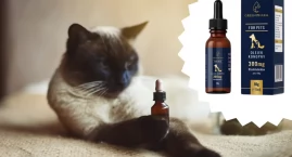 CBD dla zwierząt - W jaki sposób wspiera zdrowie n&hellip;