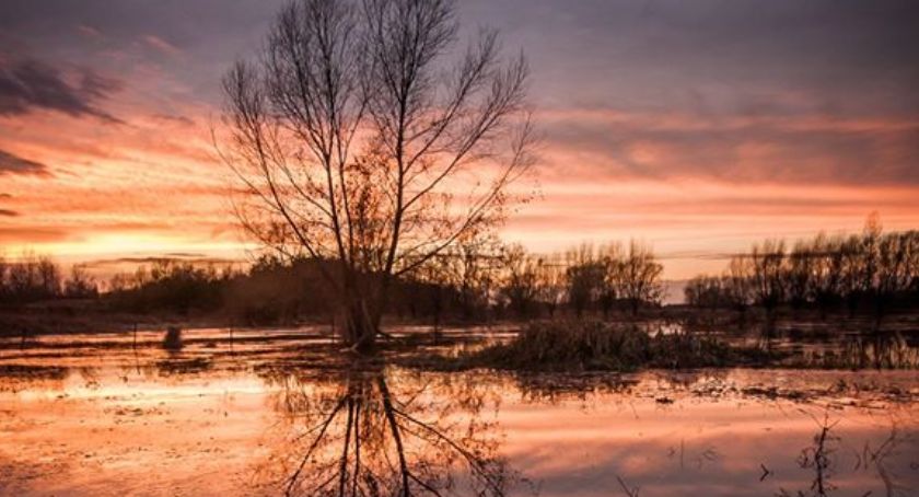 Płońszczak NA DOBRY DZIEŃ - 29.05.2020
