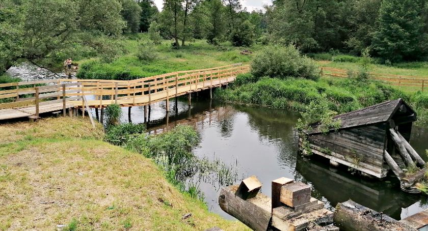Płońszczak NA DOBRY DZIEŃ - 23.06.2020