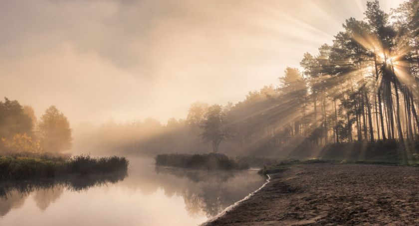 Płońszczak NA DOBRY DZIEŃ - 25.06.2020