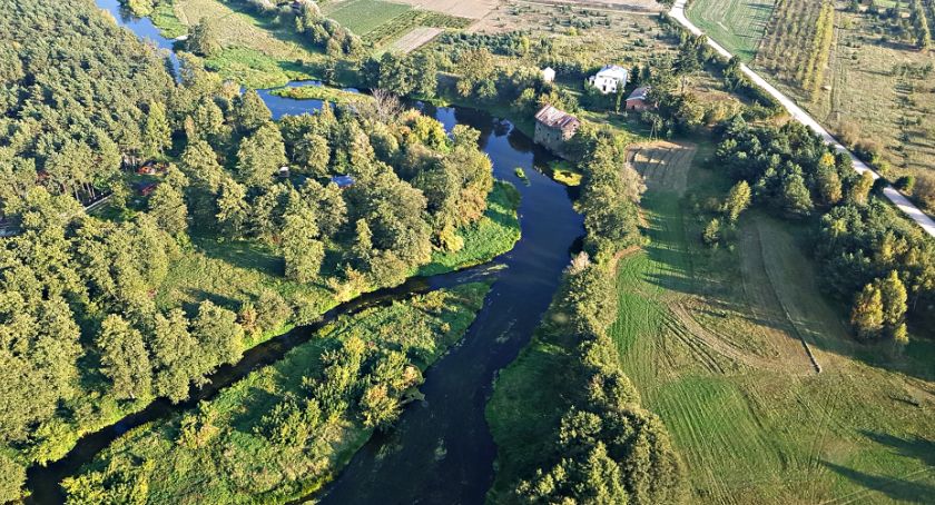 Płońszczak NA DOBRY DZIEŃ - 30.06.2020