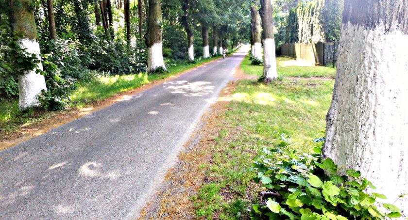 Płońszczak NA DOBRY DZIEŃ - 2.07.2020