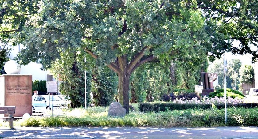 Skwer u zbiegu Płockiej i Kolejowej darem od starostwa dla miasta