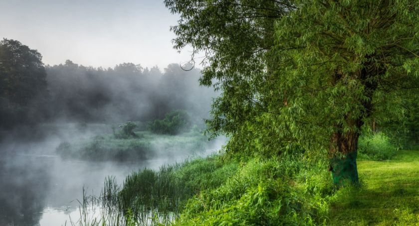 Płońszczak NA DOBRY DZIEŃ - 13.07.2020
