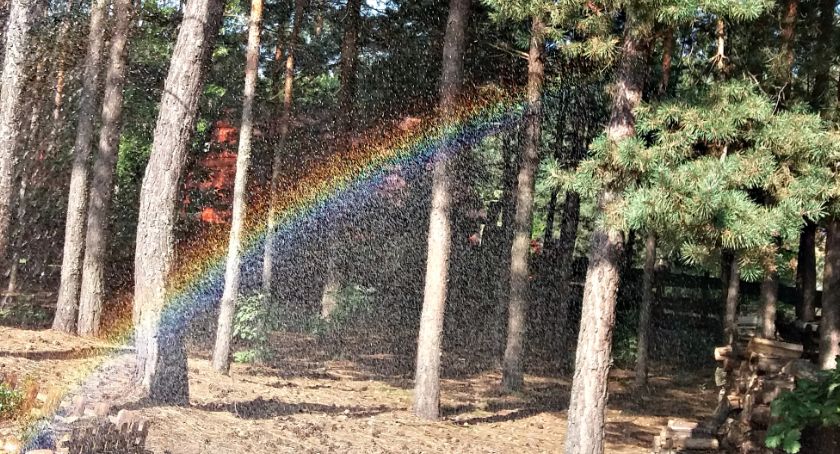 Płońszczak NA DOBRY DZIEŃ - 24.07.2020