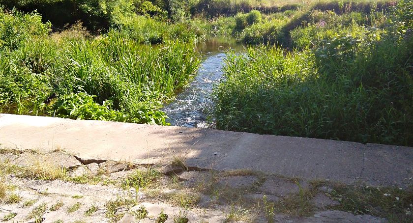 Płońszczak NA DOBRY DZIEŃ - 30.07.2020