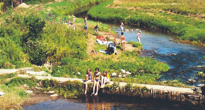 Płońszczak NA DOBRY DZIEŃ - 8.08.2020