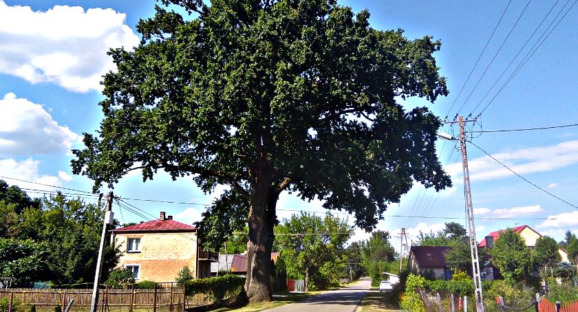 Płońszczak NA DOBRY DZIEŃ - 12.08.2020
