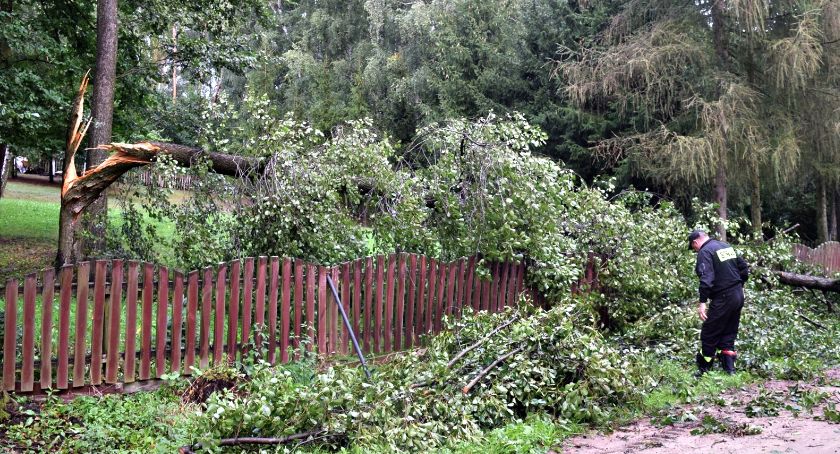 Płońszczak NA DOBRY DZIEŃ - 27.08.2020