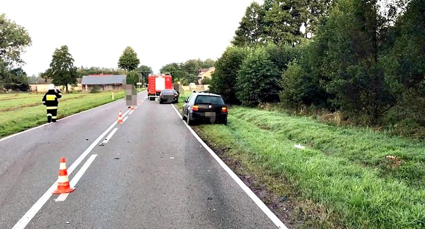 Uwaga na zwierzęta na drodze - wypadki z udziałem łosia i dzika
