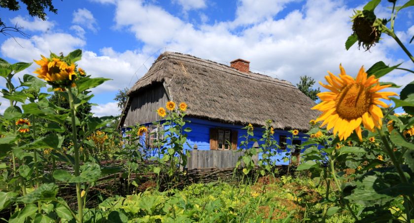 Muzeum pod chmurką 