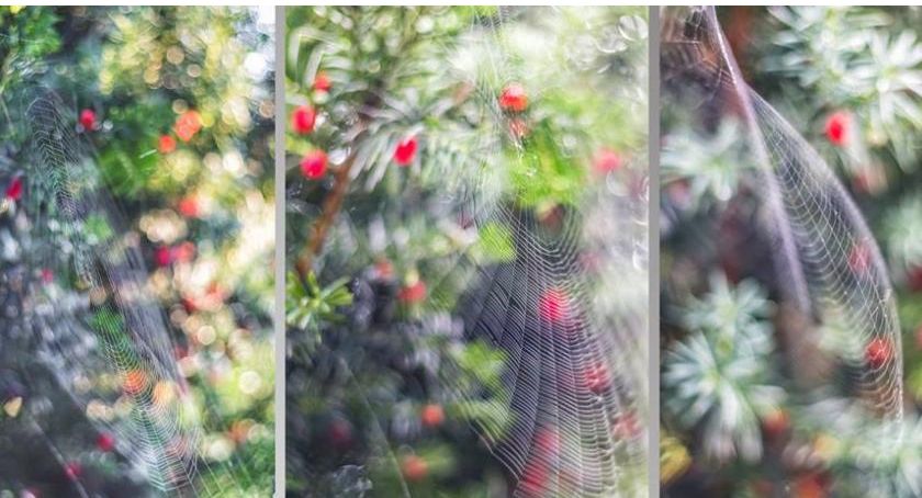 Piękno wokół nas, czyli klimatyczne fotografie Magdaleny