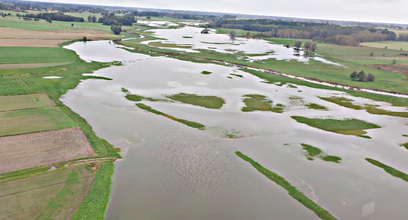 Płońszczak NA DOBRY DZIEŃ - 17.10.2020
