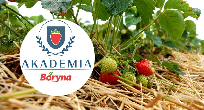 Płońszczak NA DOBRY DZIEŃ - 23.10.2020