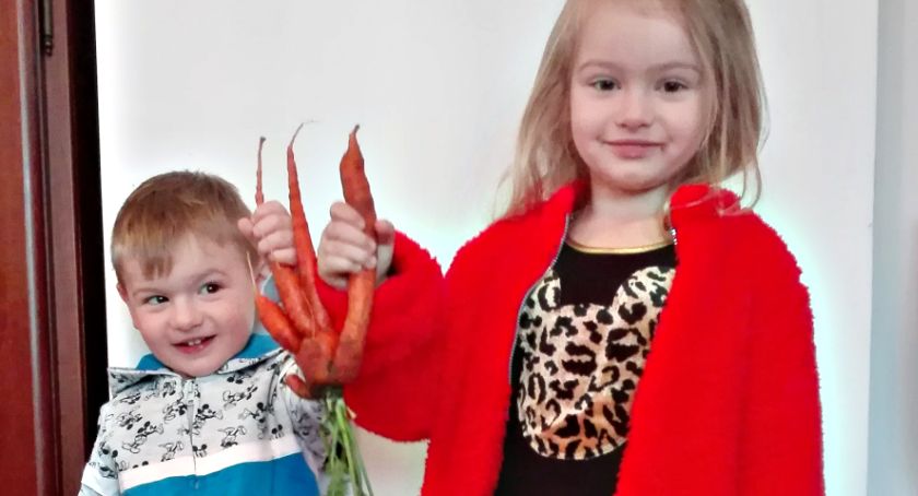 Płońszczak NA DOBRY DZIEŃ - 12.11.2020