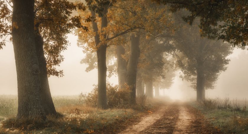 Płońszczak NA DOBRY DZIEŃ - 14.11.2020